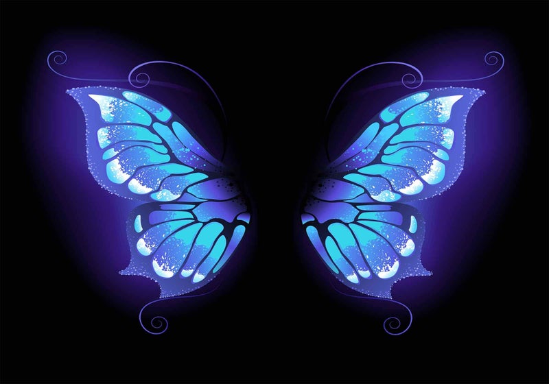 PHMOJEN Amazing Blue Butterfly Wings Backdrop Dreamlike Portrait Photo Background for Photography 10x7ft Vinyl Events Party Decorations Studio Backdrop PHMOJEN PPH746 - Image 3